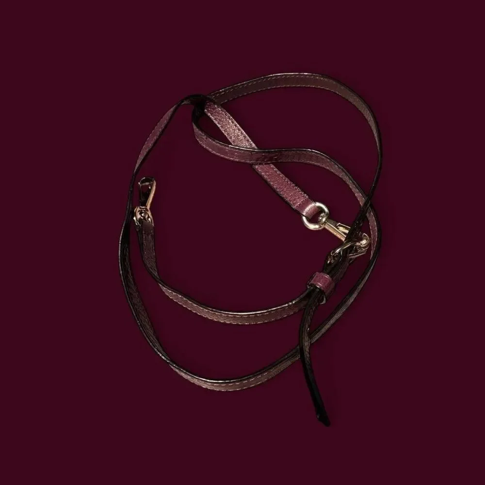 Coach Women's Purple and Burgundy Bag